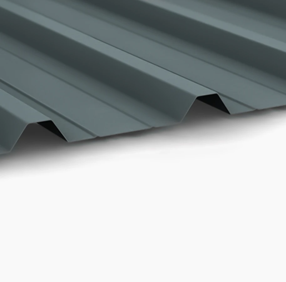 Caf 33-1000