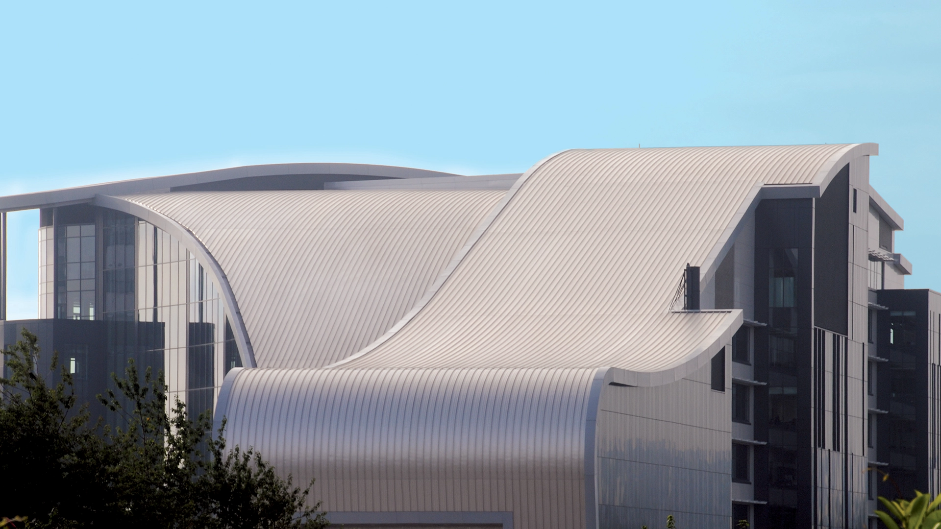 Ash&Lacy Standing Seam